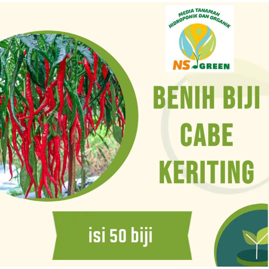 Benih Cabe Keriting Unggul isi 50 Biji -  Tahan Penyakit, Panjang, Merah Mengkilap