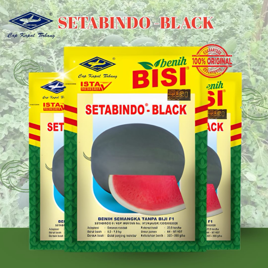 Benih Semangka SETABINDO-BLACK F1 20Gr