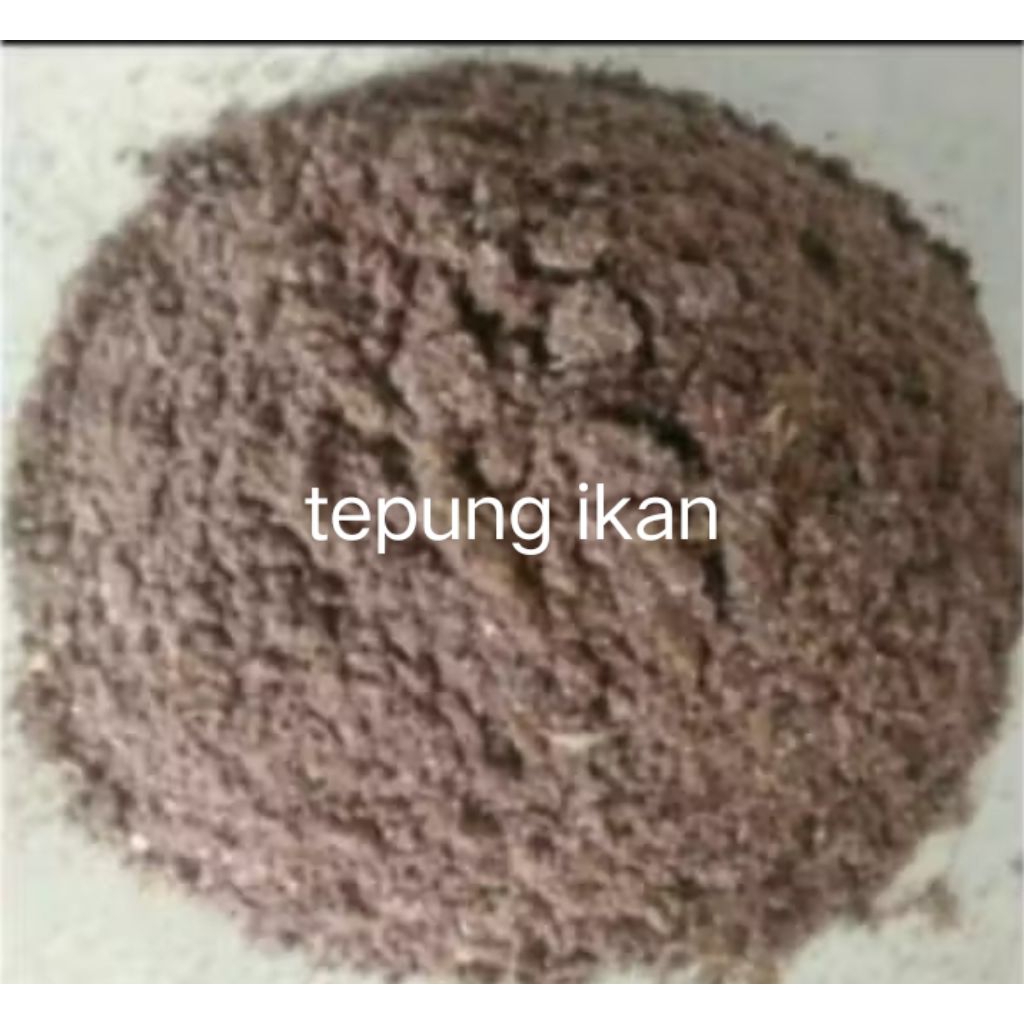 tepung ikan pakan ternak