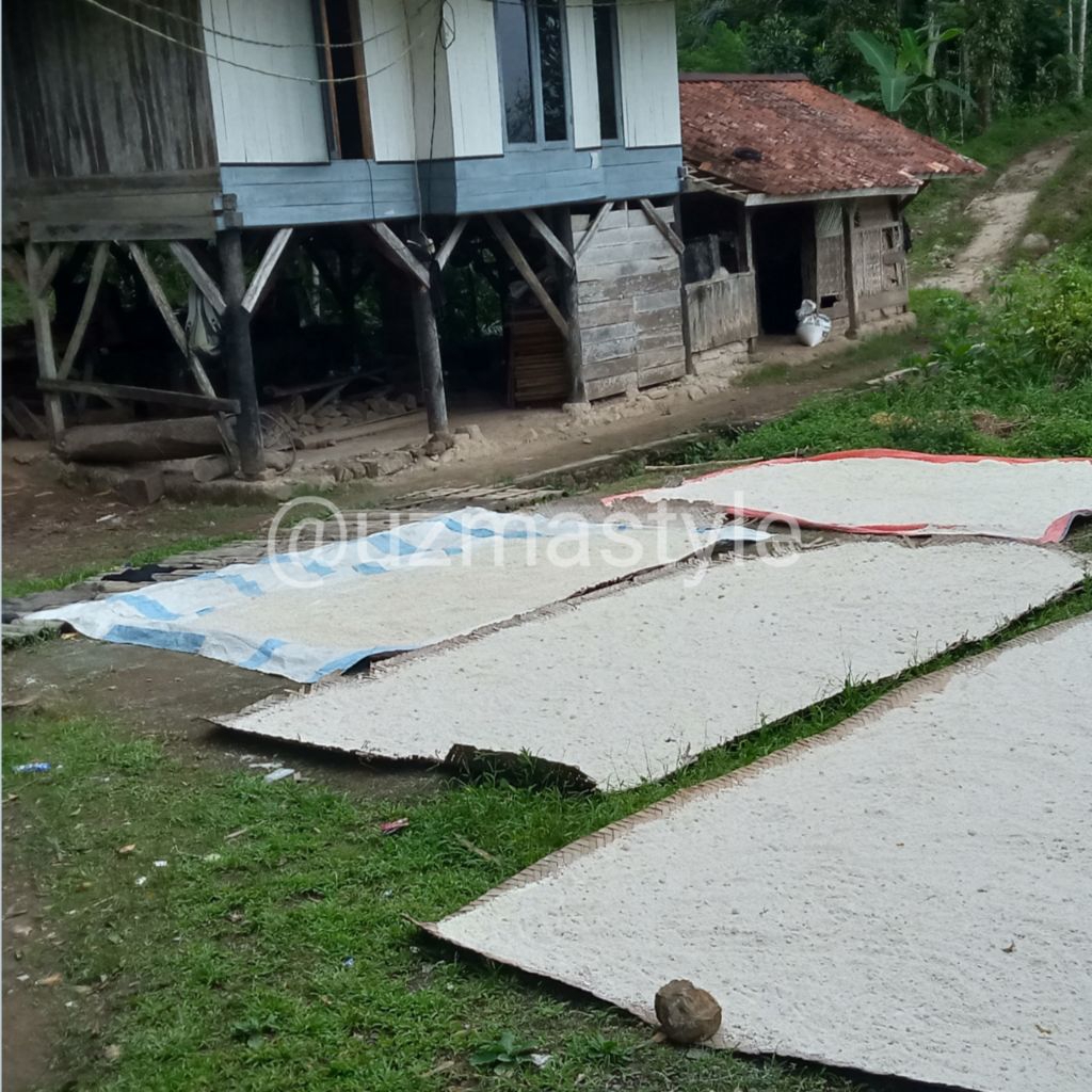 Tepung Aci Kawung Sagu Aren Alami 1kg Pabrikan Asli Tanpa Campuran Produk Cianjur Selatan