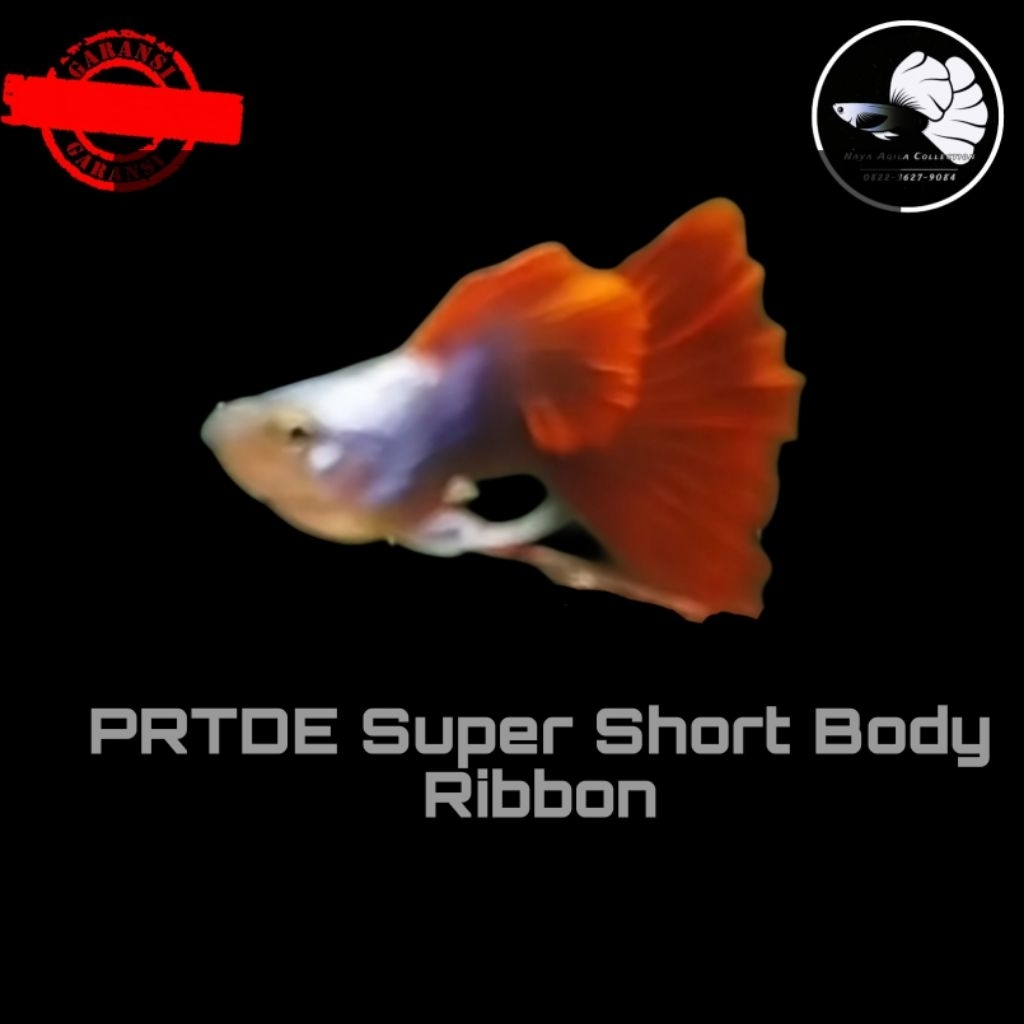 Styrofoam-PRTDE Super Short Body Ribbon