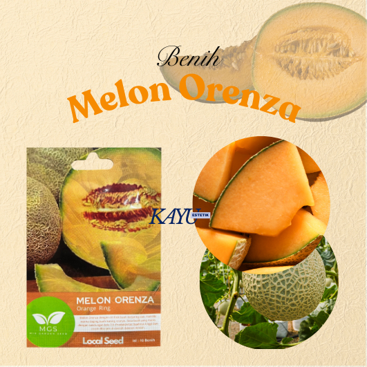 Benih Melon Oren/Benih Melon Orenza/Benih Melon Orange Ring/Benih Murah