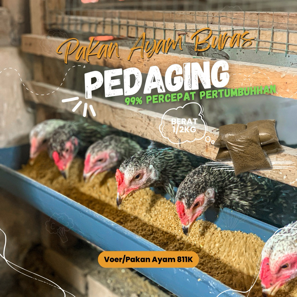 Pakan Anak Ayam/Segala Unggas 811K Voer Buras Berkualitas