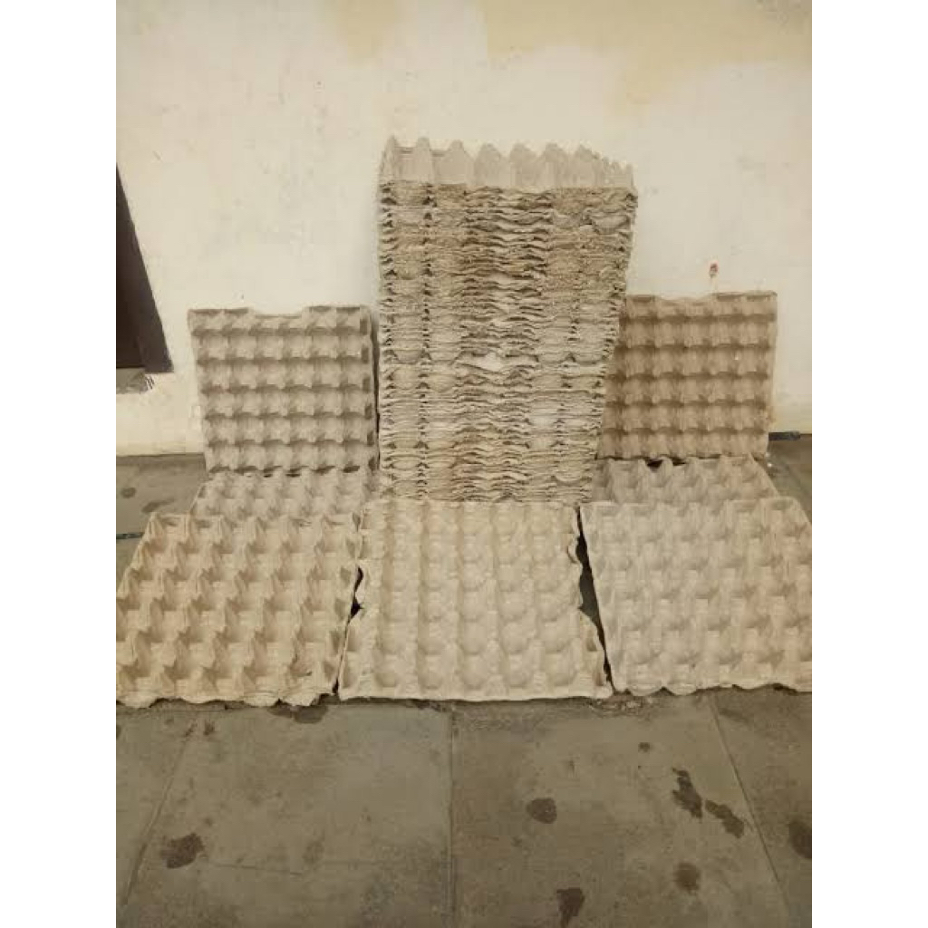 Egg Tray Karton Bekas - Praktis, Ekonomis
