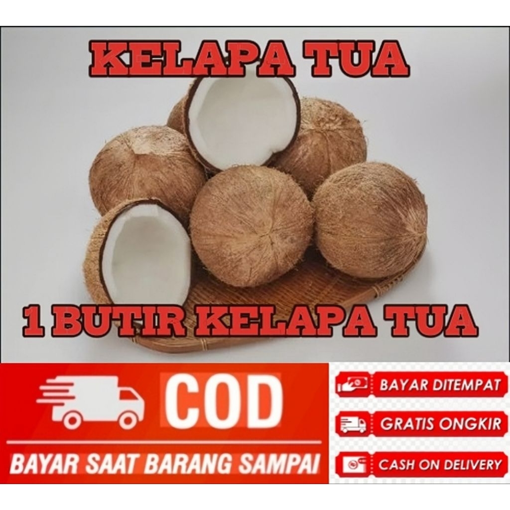 KELAPA TUA FRESH/SATU BUTIR KELAPA TUA