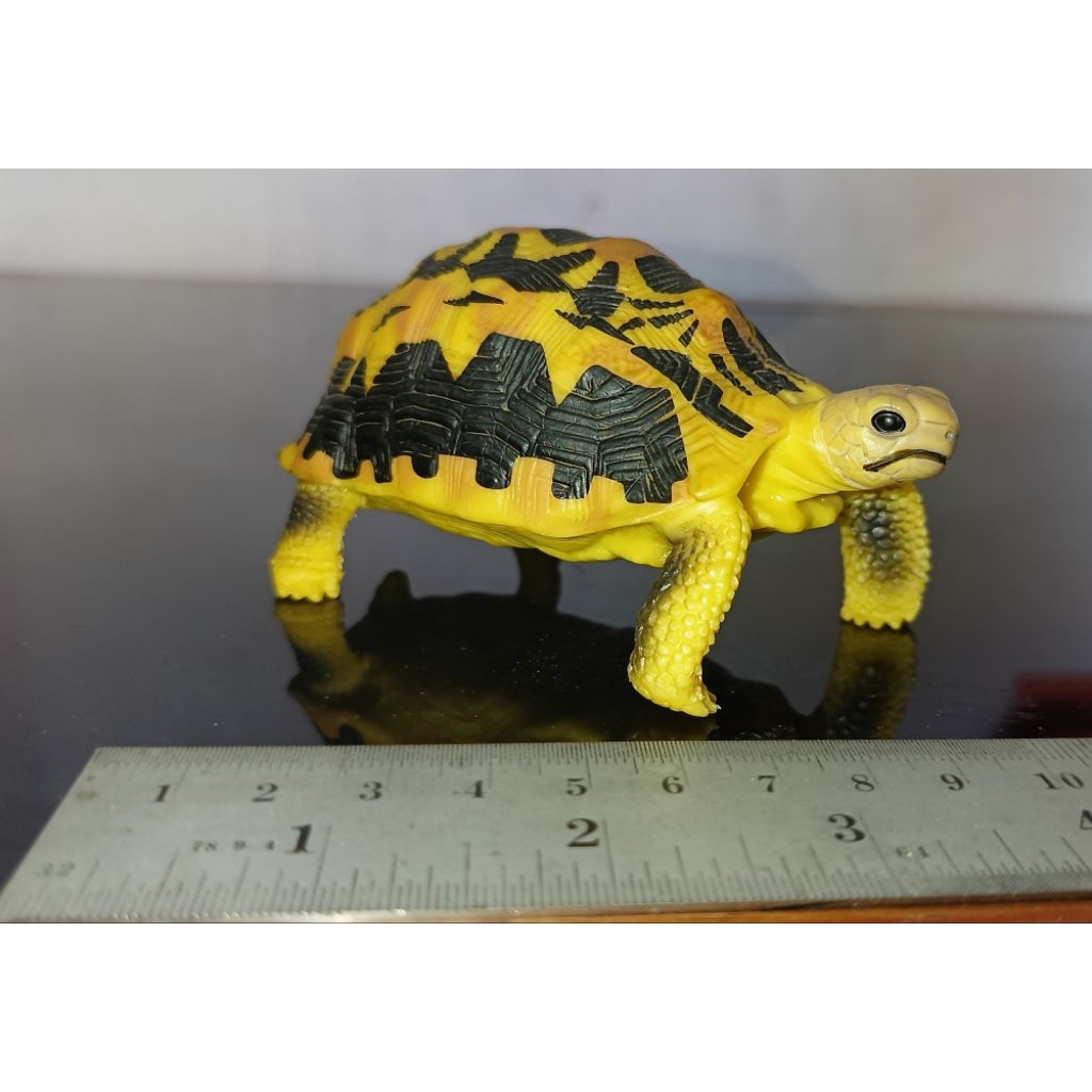 Figure kura-kura Spider tortoise