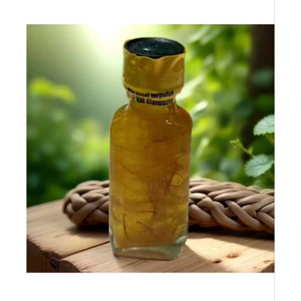 Minyak Lintah Papua Asli