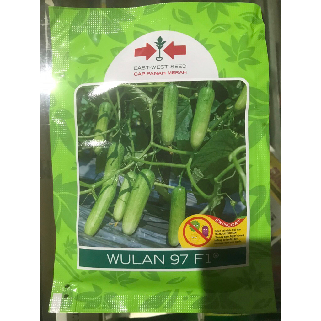 Benih Wulan 97 F1 800 biji (Timun Lalap)