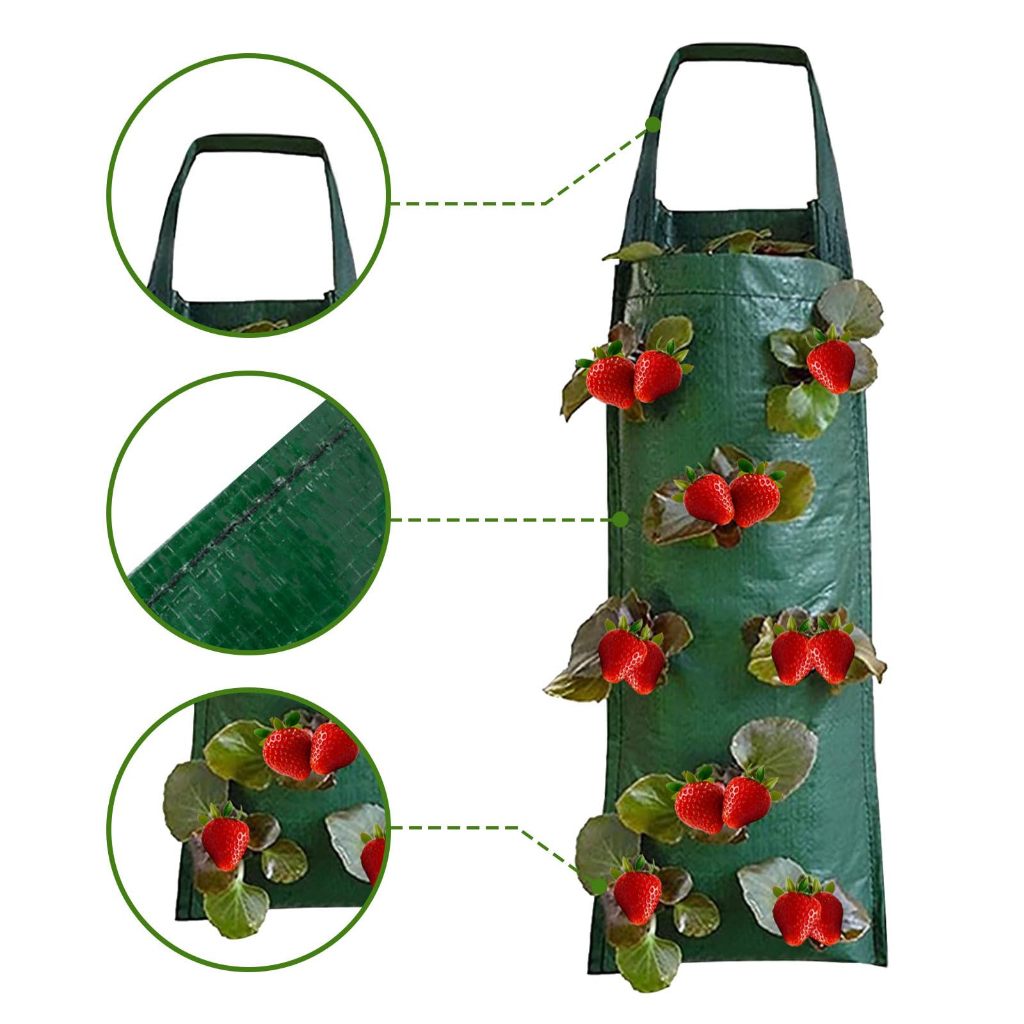 ALAT TANAM KU - PLANTER BAG POUCH GANTUNG 10 SLITS