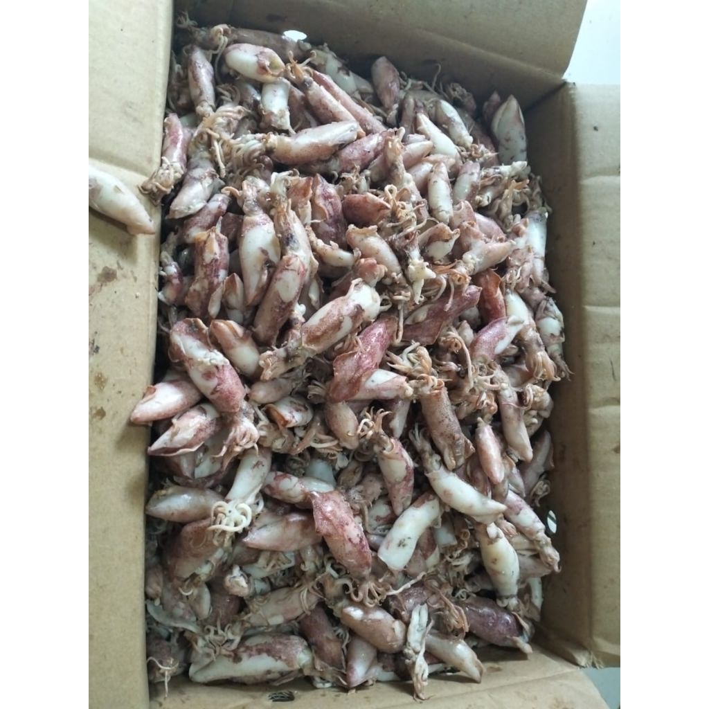 ikan asin cumi sotong