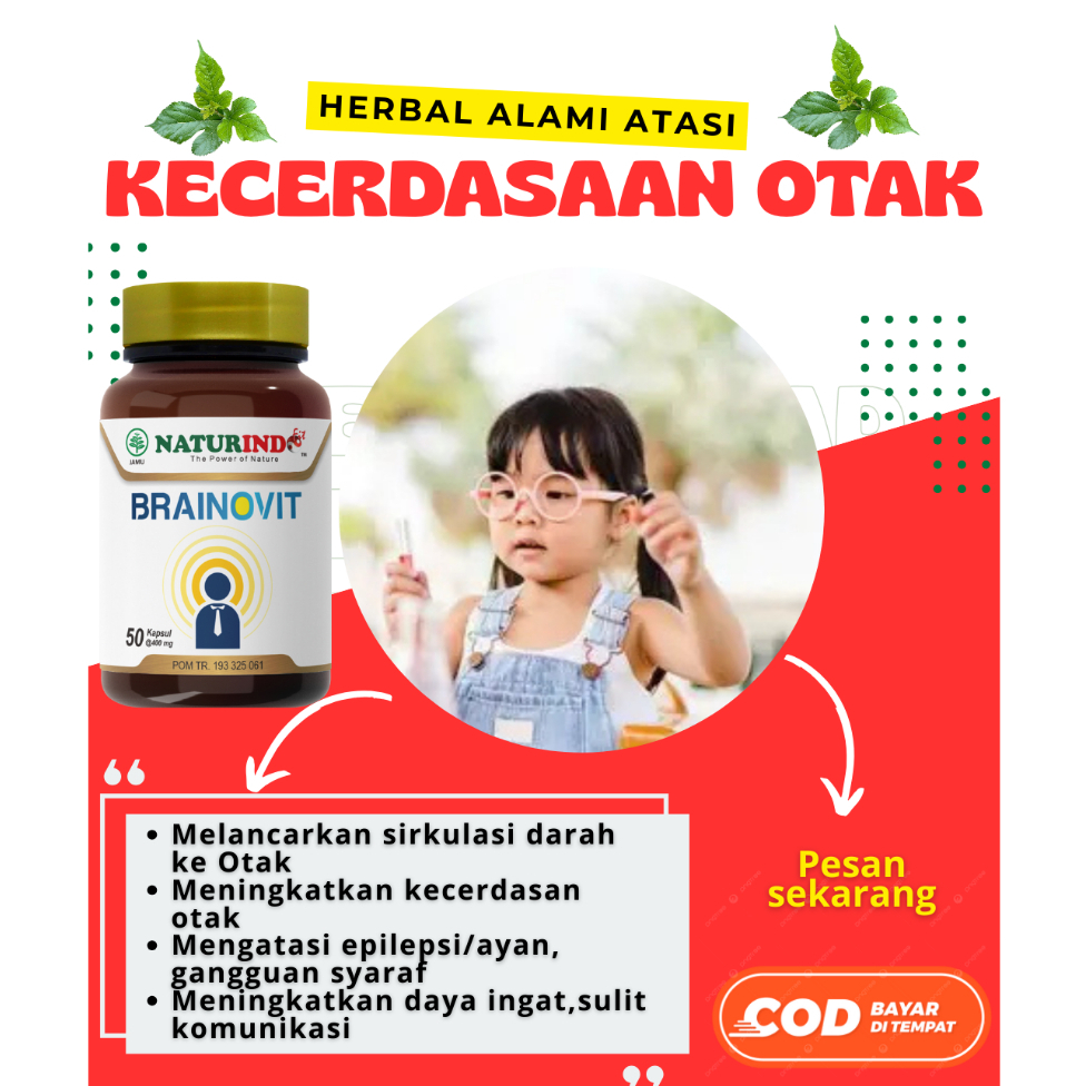 BRAINOVIT Vitamin Daya Ingat Kecerdasan Otak Suplemen Daya Ingat Anak & Dewasa Herbal Naturindo