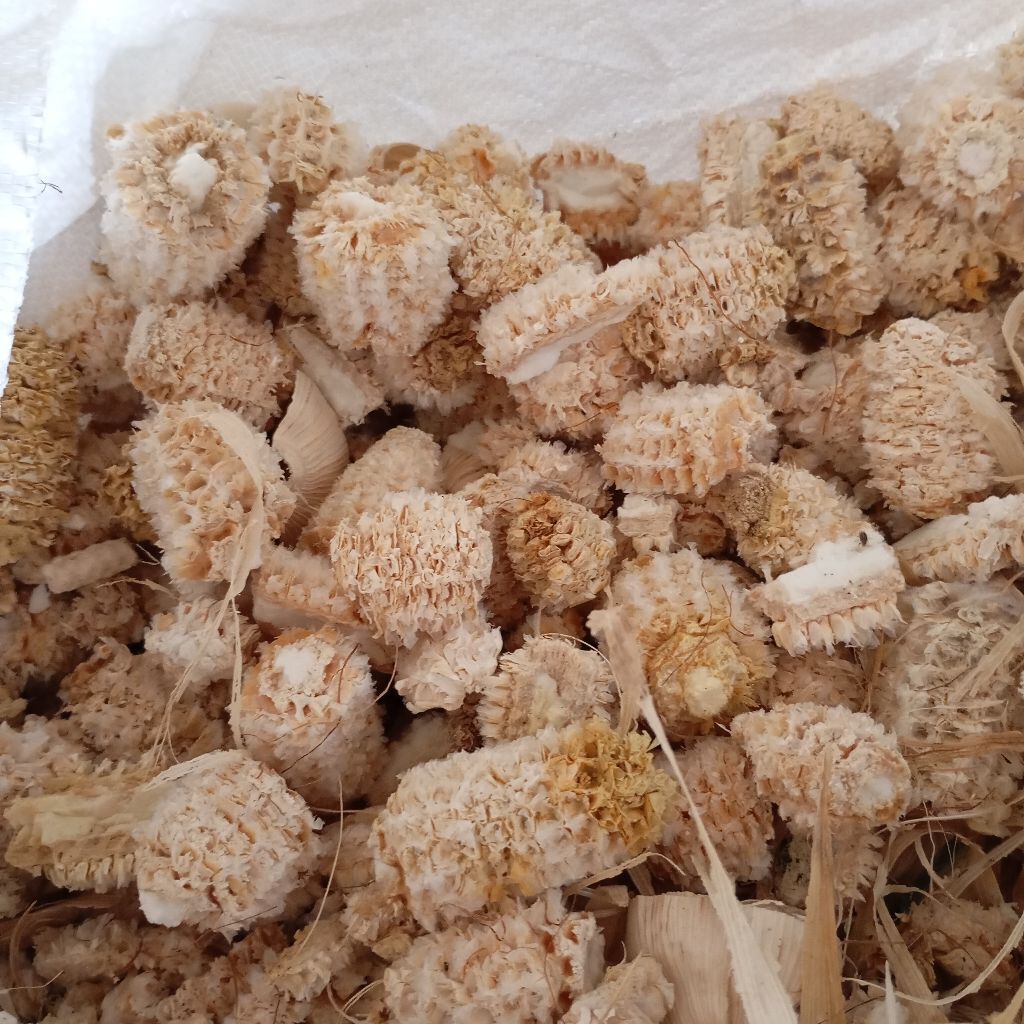 BONGGOL JAGUNG/ janggel jagung kering kiloan.