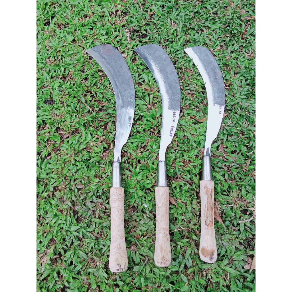 Pisau PANEN TEBU siap pakai