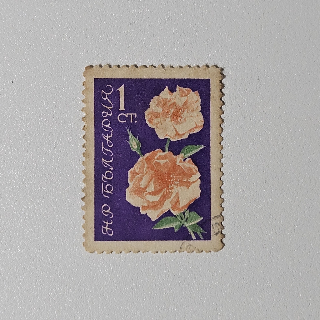 Perangko Flora Bulgaria: Bunga Mawar (Perangko Klasik 1960)
