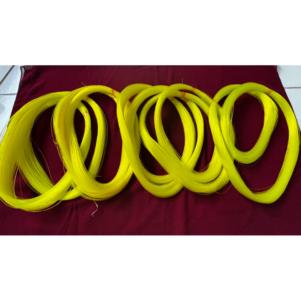 kenur layangan 0,50 cap ikan paus