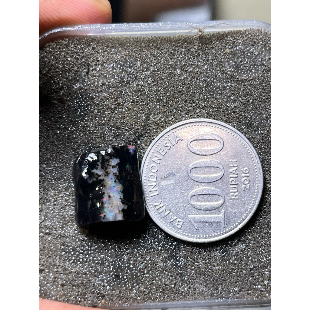 KALIMAYA BLACK OPAL SEMPUR BANTEN
