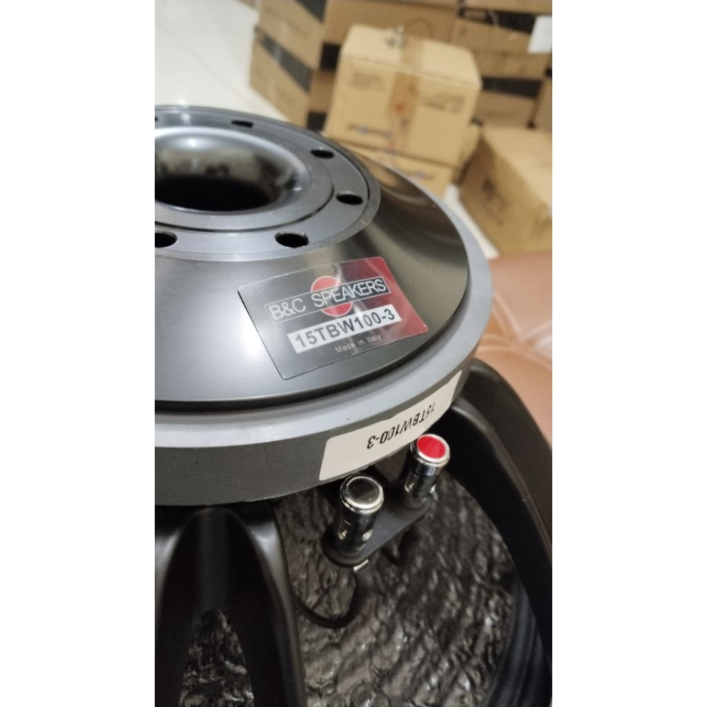 speaker 15 in B&C tbw100-3