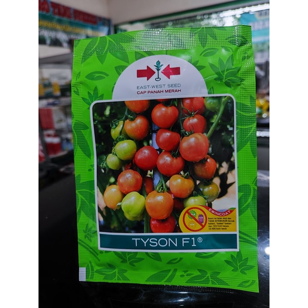 Benih Tomat Tyson F1 1.750 Butir Original
