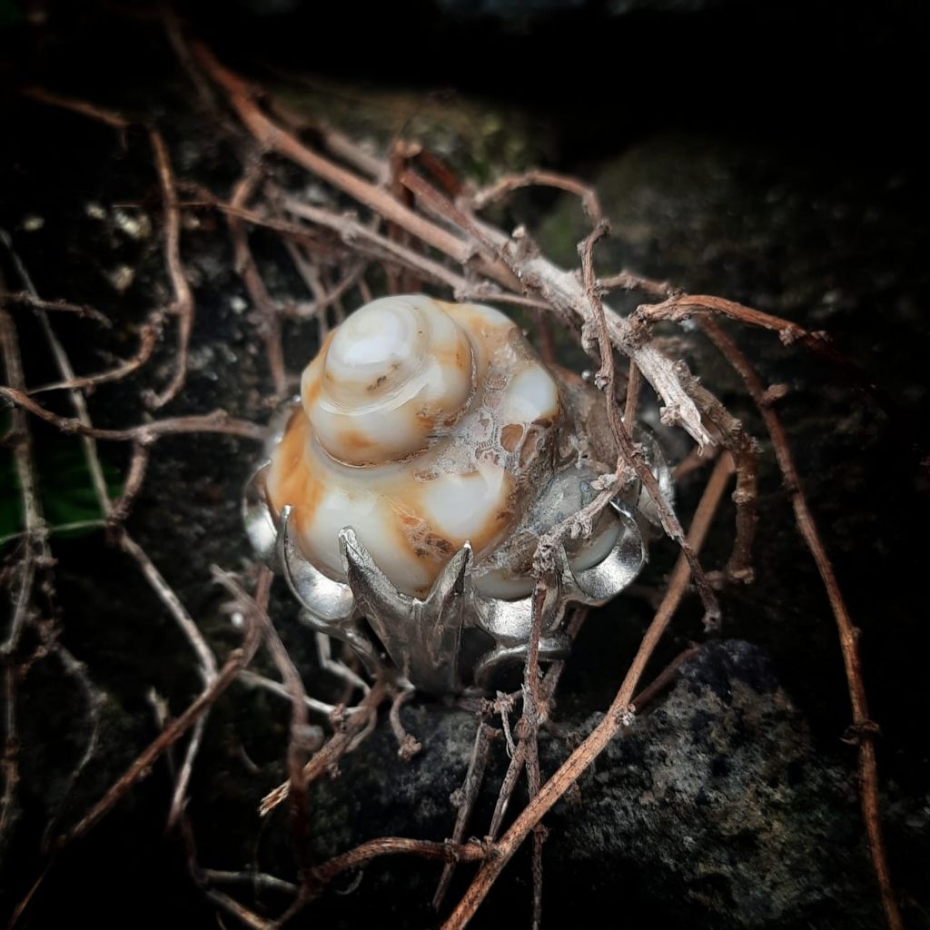 Batu akik mustika kol buntet