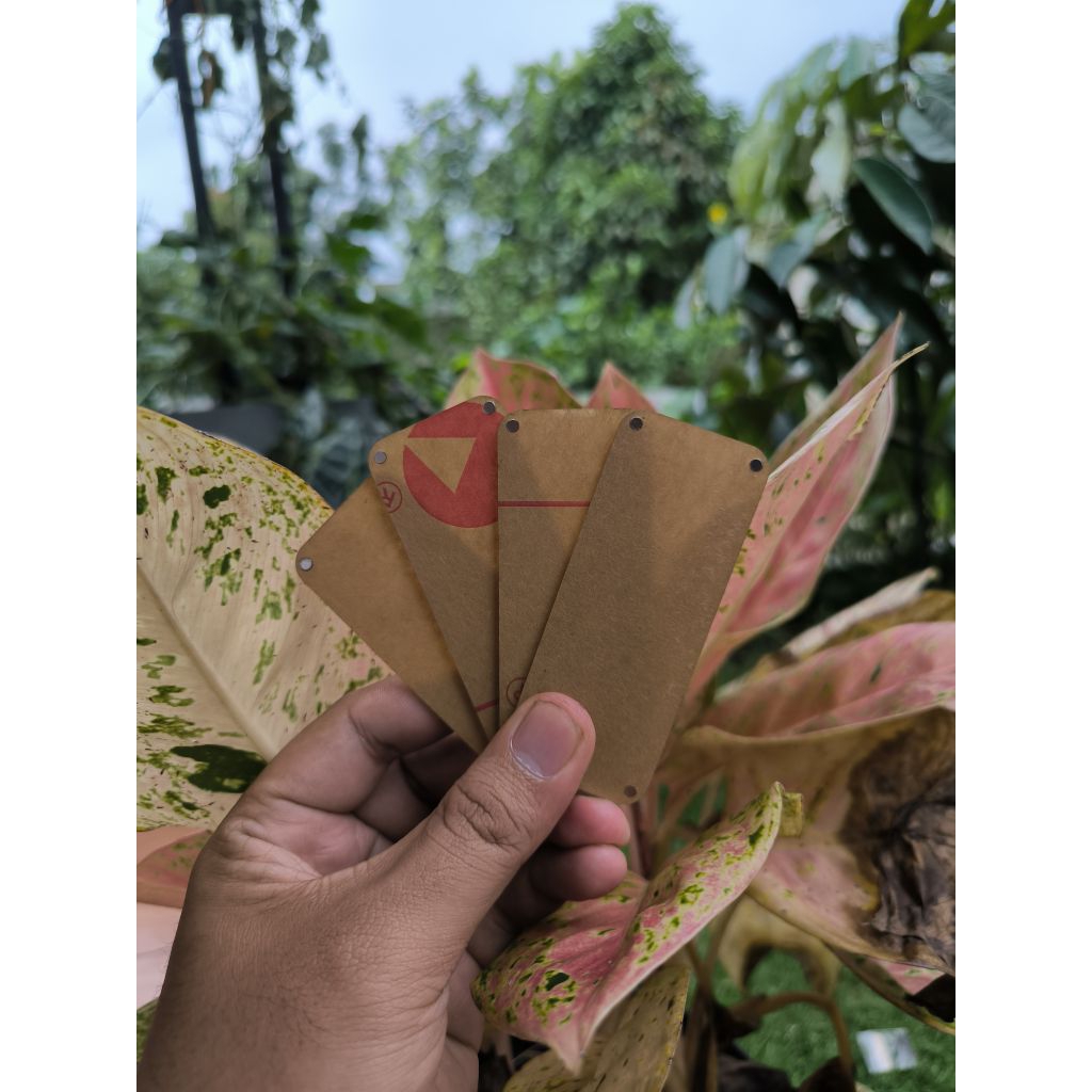 order by request
