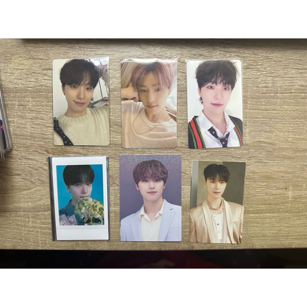 pc dino seventeen official pola tc cheki bunga