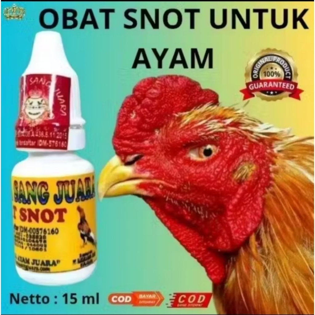 OBAT SNOT AYAM |MUKA BENGKAK ,PILEK DAN SALURAN PERNAFASAN PADA AYAM