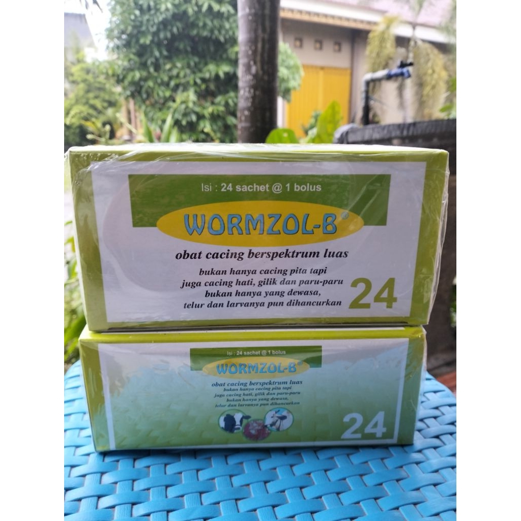 Wormzol-B