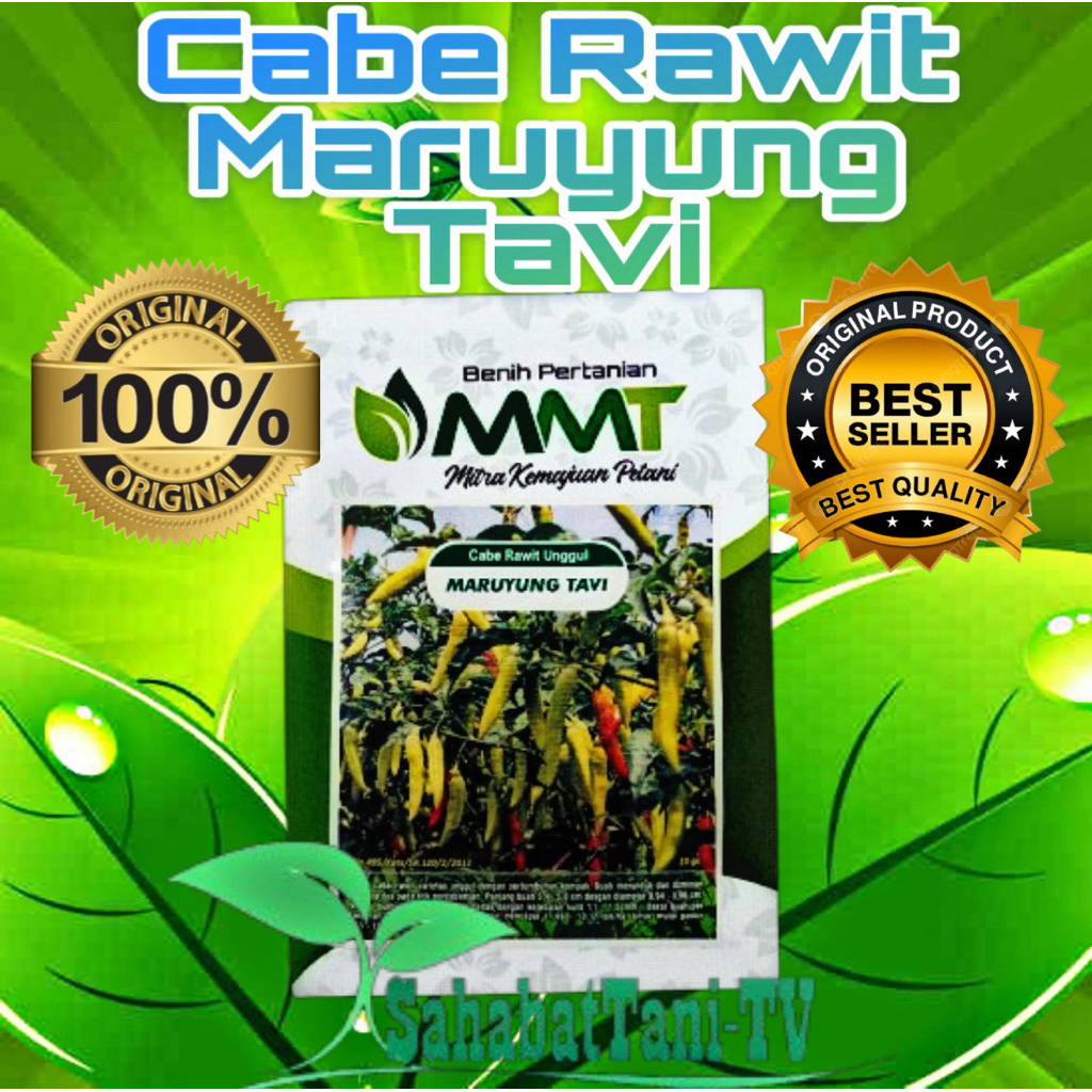 Cabe Rawit Maruyung tavi 10 gram , varietas benih cabai rawit unggul yang dikenal tahan virus dan pe
