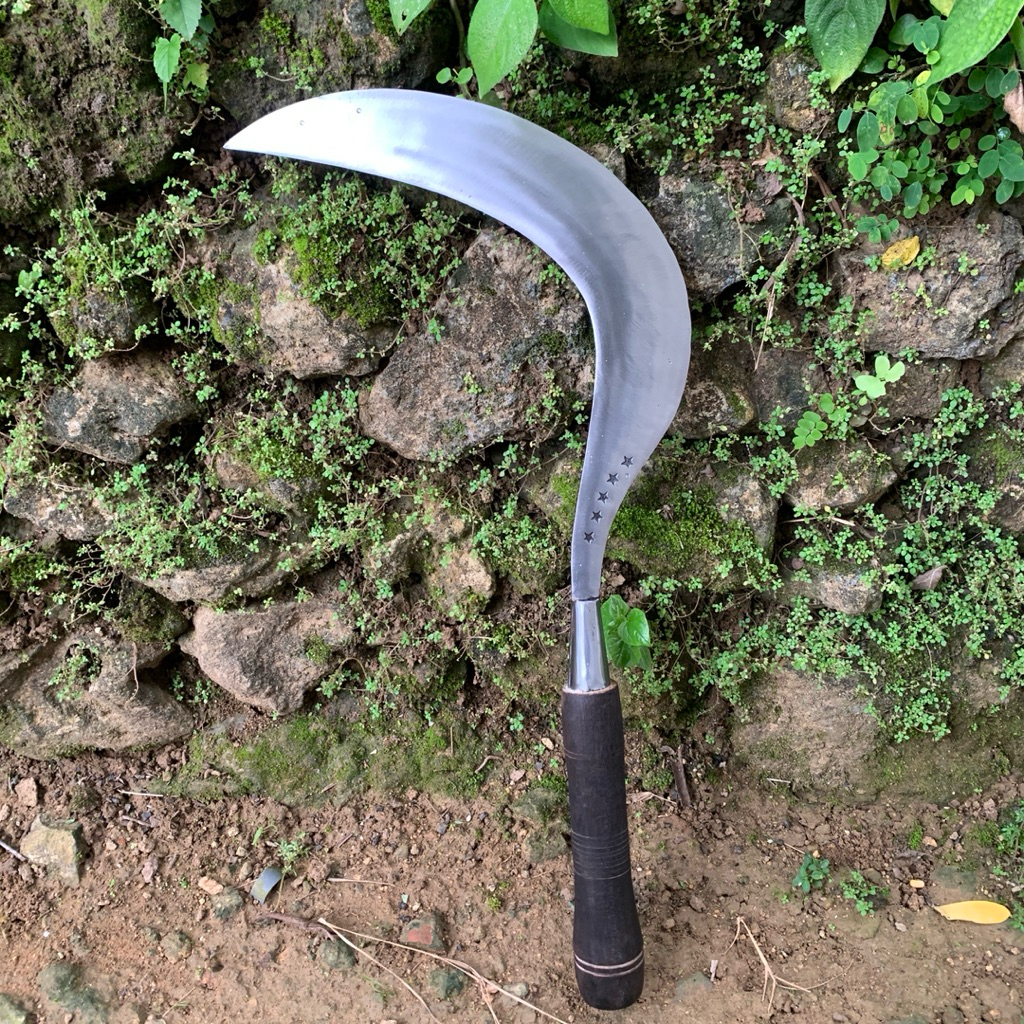 aret rumput/sabit rumput ori bintang lima khas madura