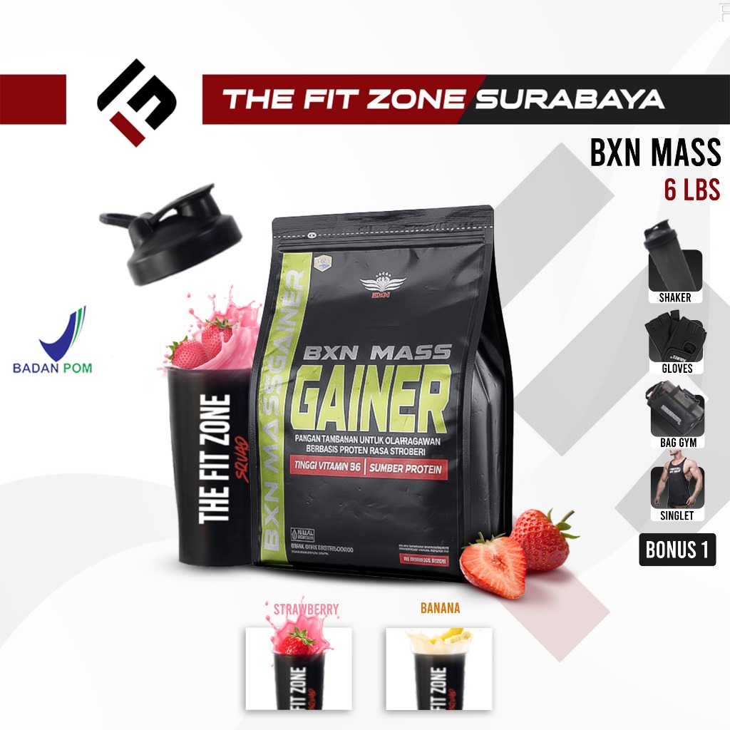 BXN Gainer 6 Lbs Susu Protein Mass Weight Gain Suplemen Fitness