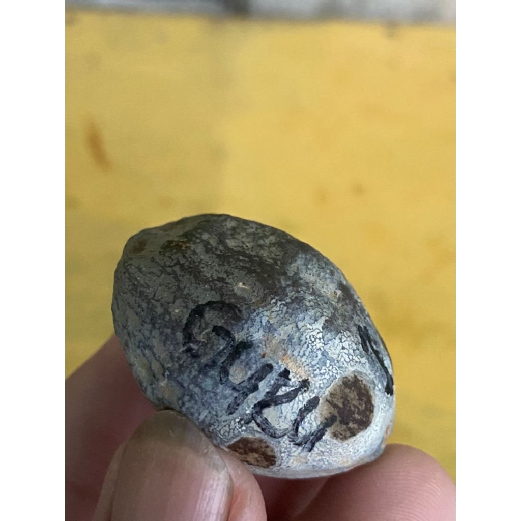 Muncang Adu Wadas grade A kode 1