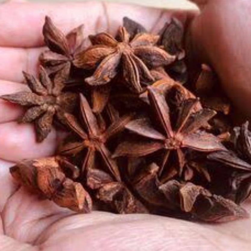 Pekak Kering 100gr Bunga Lawang Herbal Alami