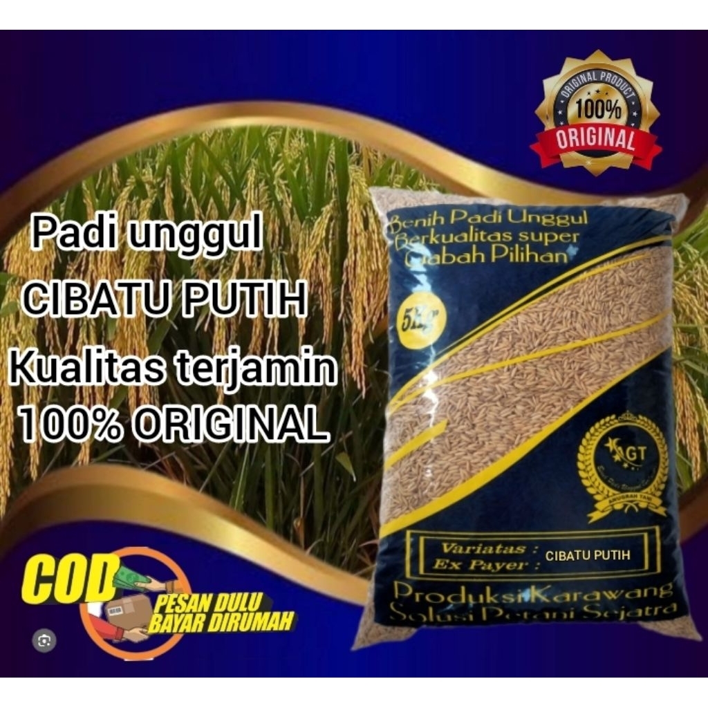 Benih padi CIBATU PUTIH kemasan 5kg