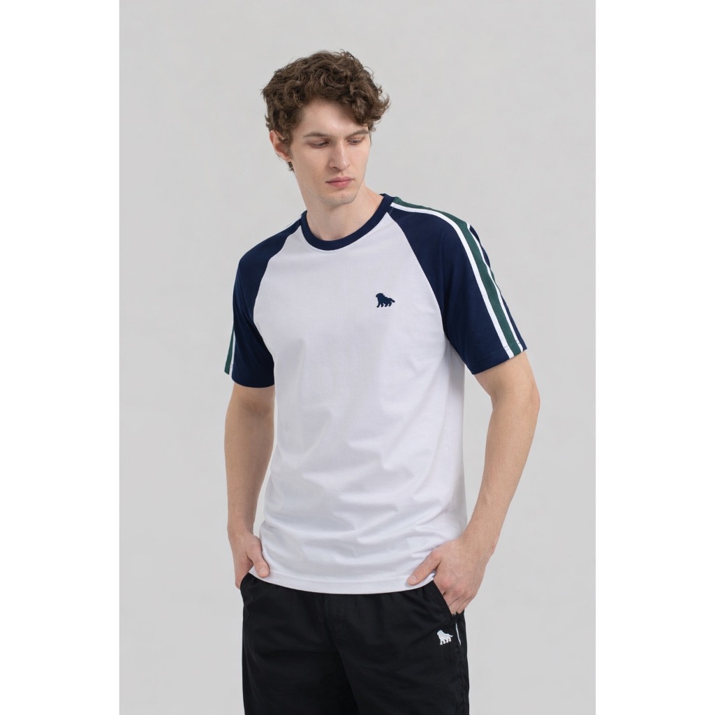 DELIRIUM T-shirt Kaos Helix Moods Stripe Unisex