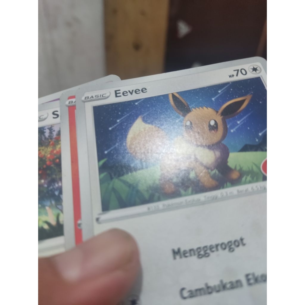 kartu pokemon promo inaco pesanan