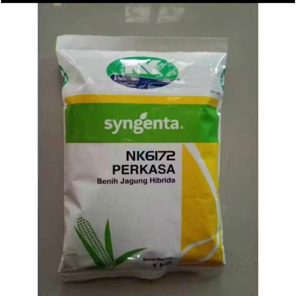 benih jagung NK perkasa 6172 #bibit jagung #benih perkasa #jagung perkasa#NK perkasa 6172