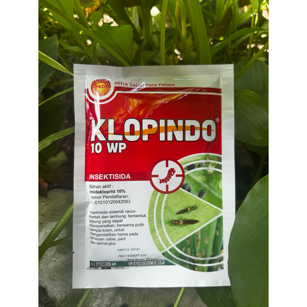 Klopindo 10wp (100gr)