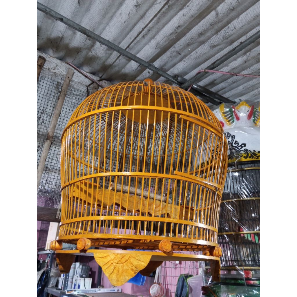 sangkar burung perkutut sangkar burung derkuku sangkar burung puter