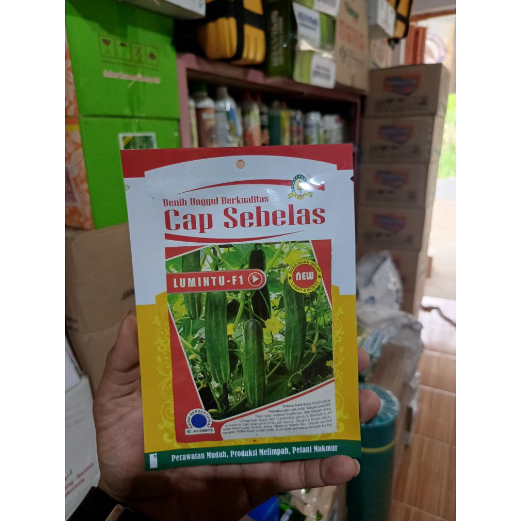 Benih Timun Lumintu Gold F 1 isi 20gr