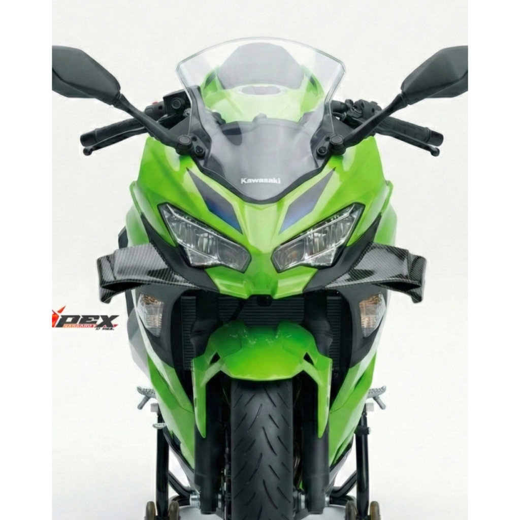 Aero Winglet Carbon Kawasaki Ninja 250 FI New