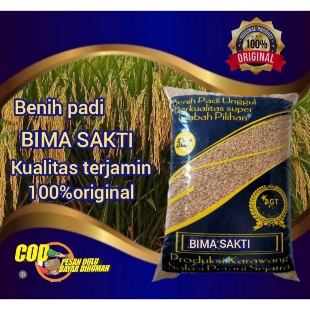 Benih padi BIMA SAKTI kemasan 5kg