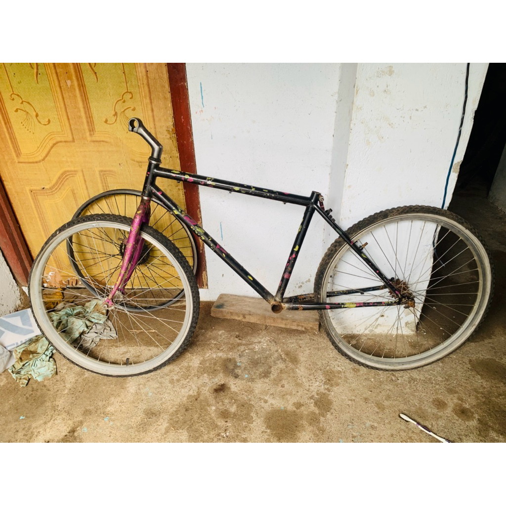 Frameset Sepeda Federal City Cat 17"