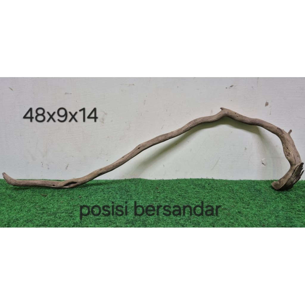 Kayu Santigi Laut Kecil 48cm Kayu Tenggelam Aquascape Aquarium Taman 48x9x14 D1