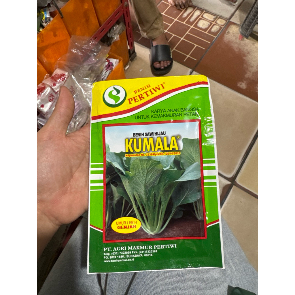 sawi hijau Kumala