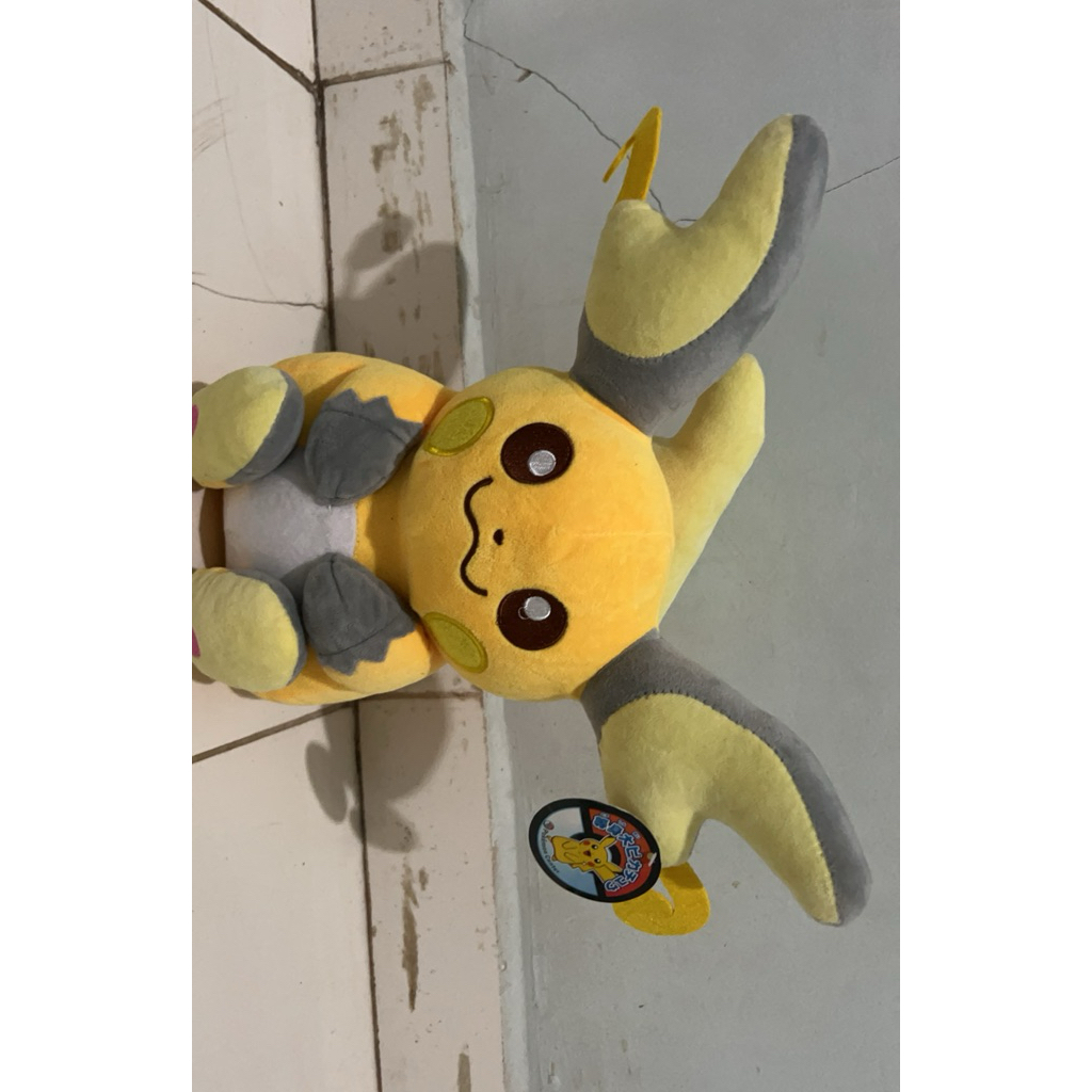 POKEMON CENTER RAICHU