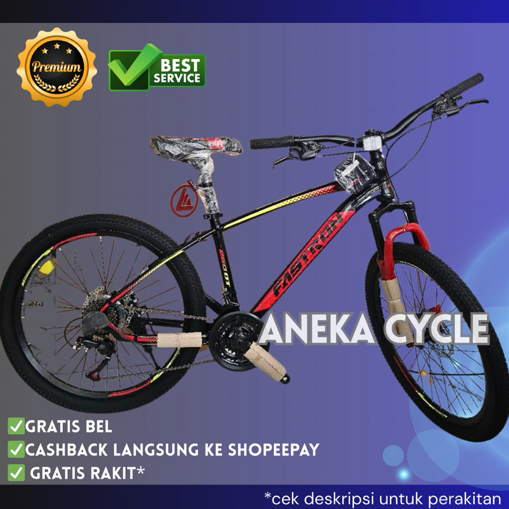 Sepeda MTB Fastron 24 Inch 260DT Rem Double Cakram Speed 3x7 Frame Besi