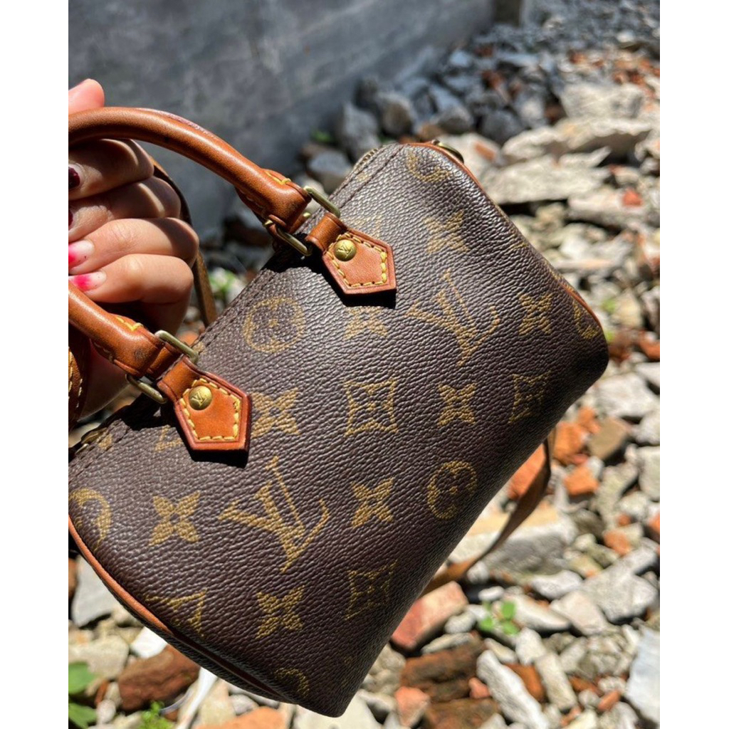 LV Speedy Monogram
