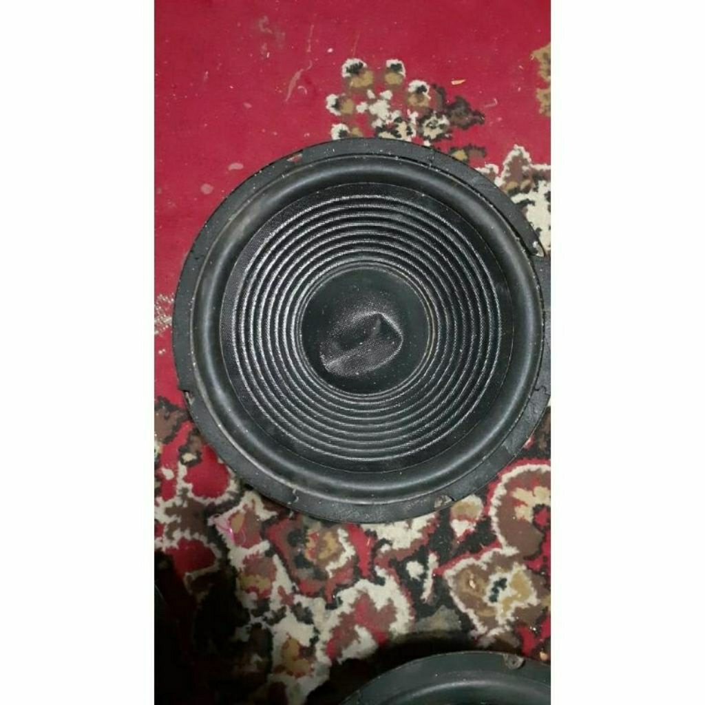 speaker 10 inchi