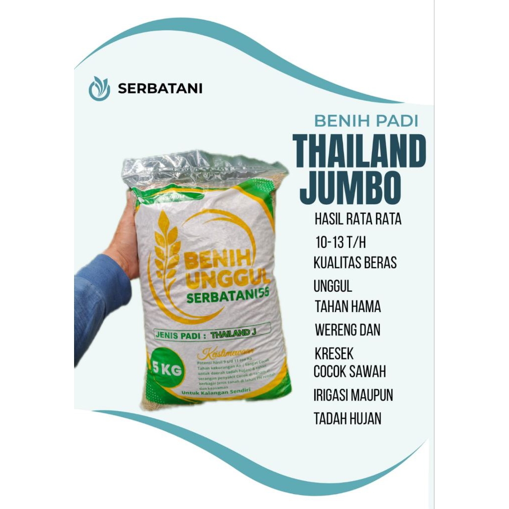 Benih padi bibit padi THAILAND JUMBO 5kg