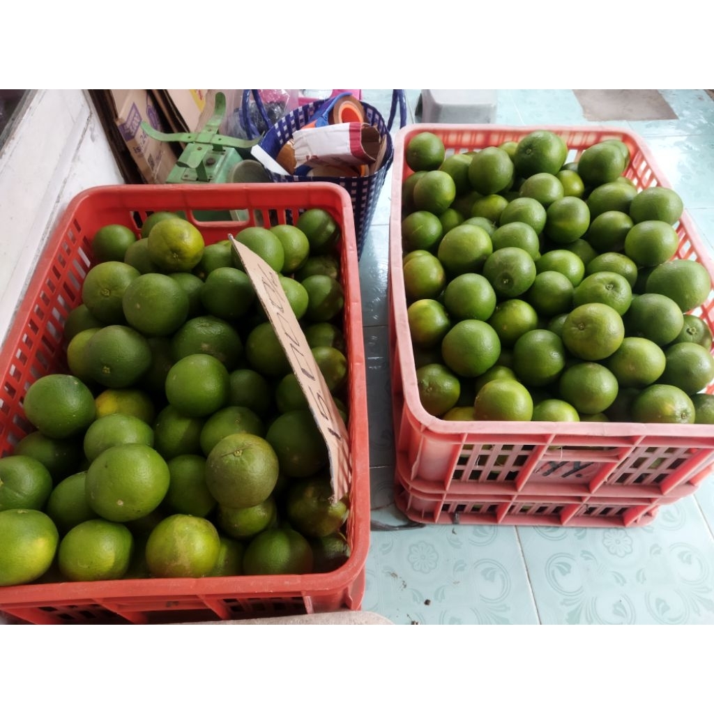 (40 KG) 1kg ±6-8 mix buah Jeruk Baby Java-Jeruk iris-Jeruk peras-Jeruk manis-Jeruk Batu-Jeruk Malang